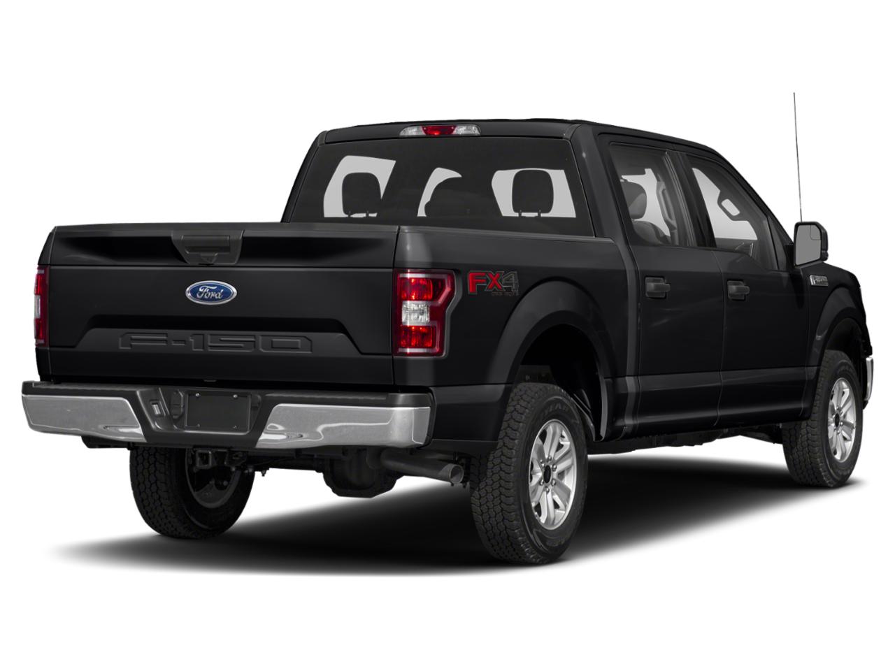 2019 Ford F-150 Vehicle Photo in SELMA, TX 78154-1459