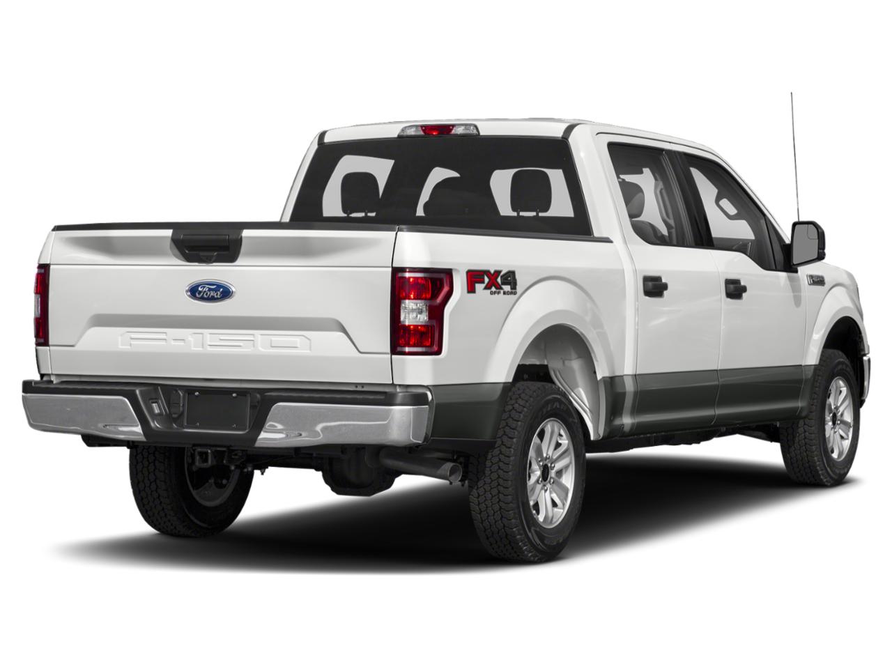 2019 Ford F-150 Vehicle Photo in Brunswick, GA 31525