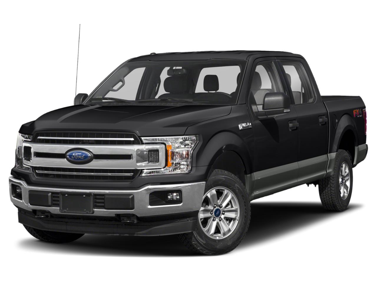 2019 Ford F-150 Vehicle Photo in SELMA, TX 78154-1459