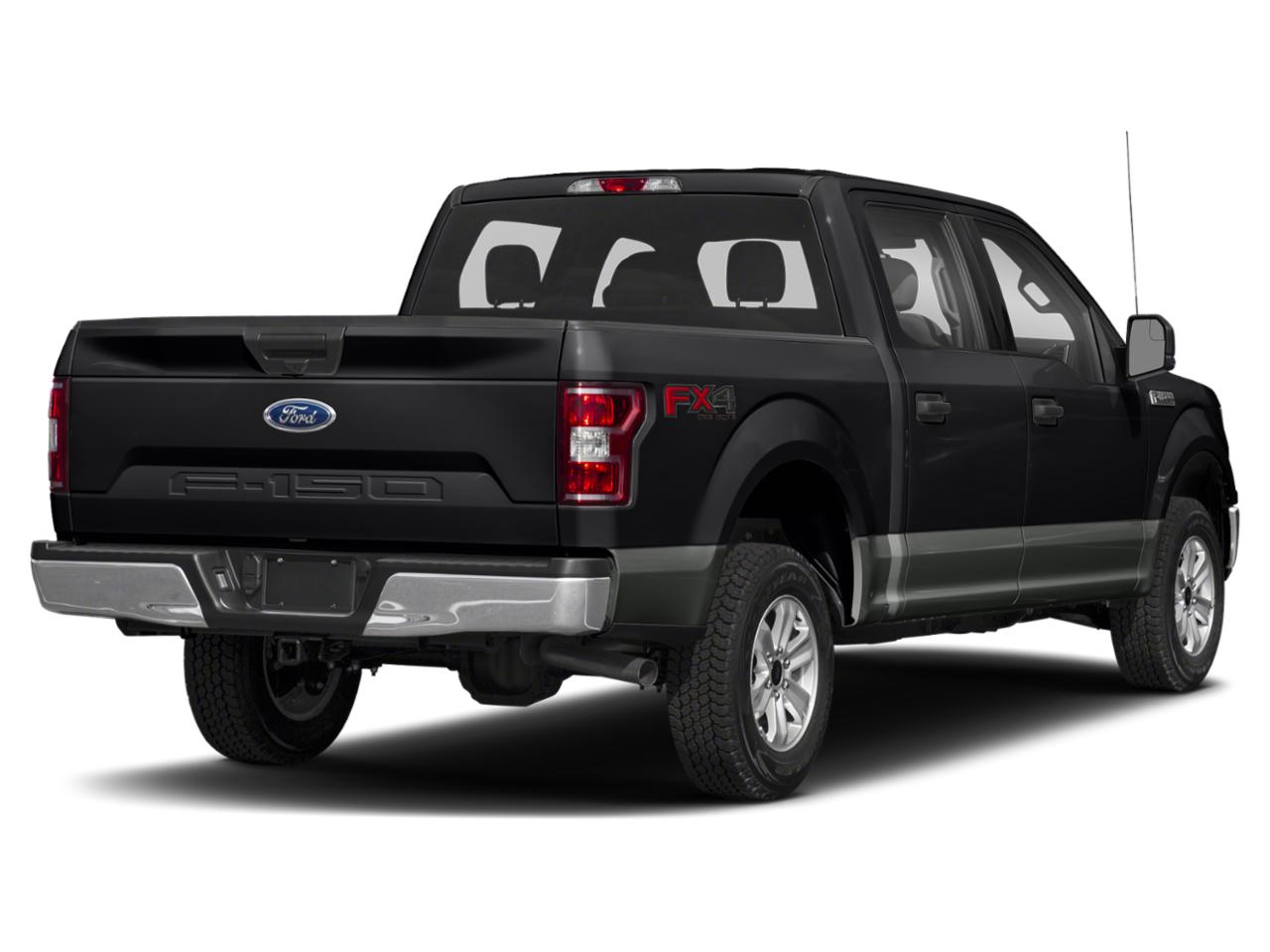 2019 Ford F-150 Vehicle Photo in SELMA, TX 78154-1459