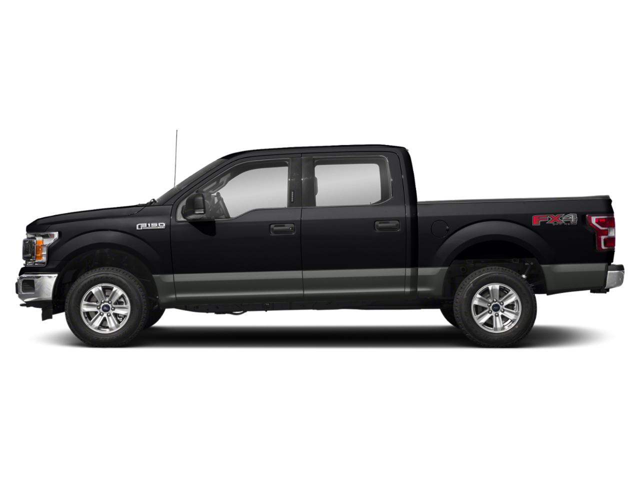 2019 Ford F-150 Vehicle Photo in SELMA, TX 78154-1459
