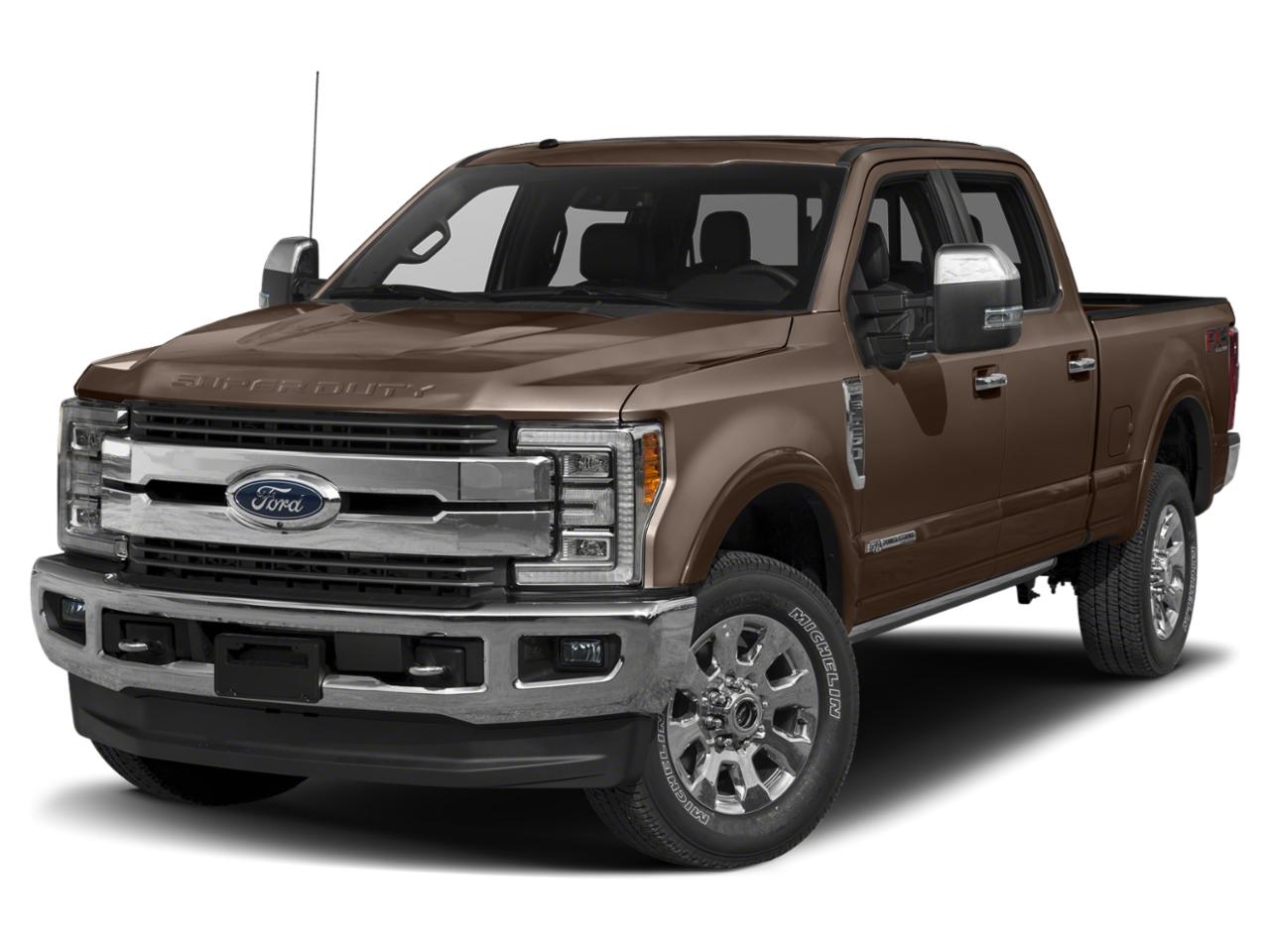 2019 Ford Super Duty F-350 SRW Vehicle Photo in SELMA, TX 78154-1459