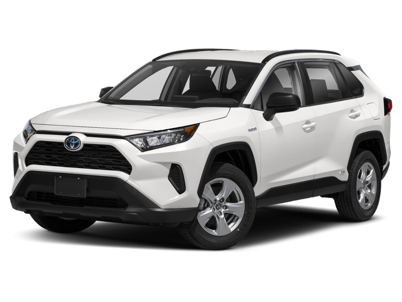 2019 Toyota RAV4 Vehicle Photo in Easton, PA 18045