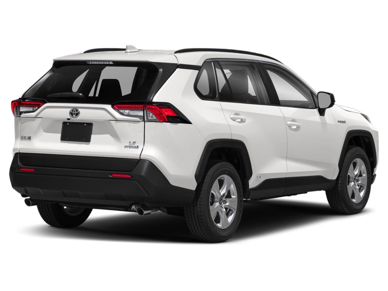 2019 Toyota RAV4 Vehicle Photo in Easton, PA 18045