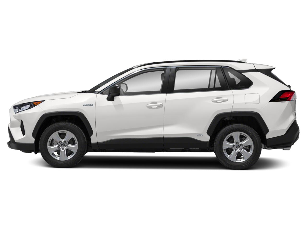 2019 Toyota RAV4 Vehicle Photo in Easton, PA 18045