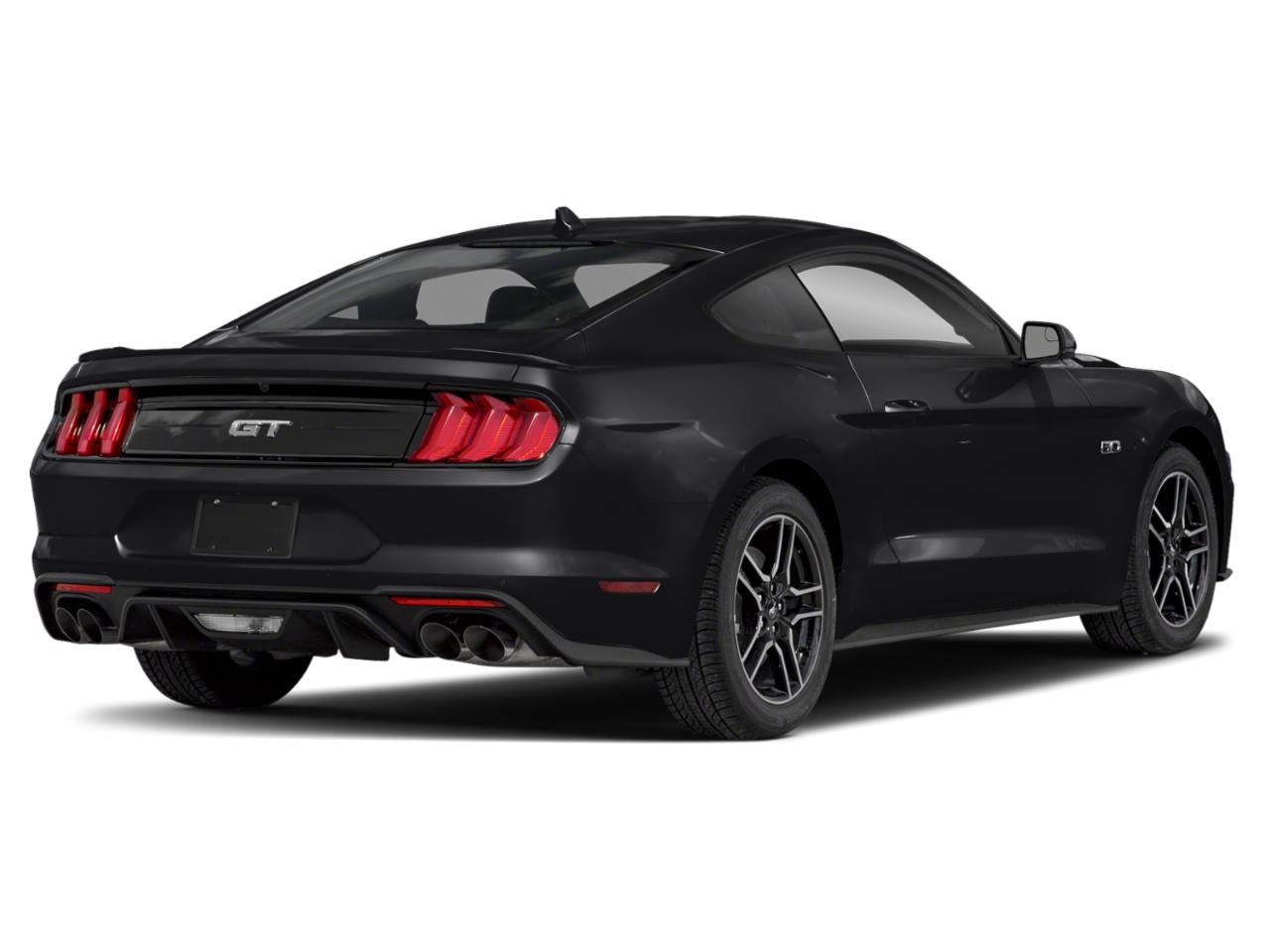 2021 Ford Mustang Vehicle Photo in Ogallala, NE 69153