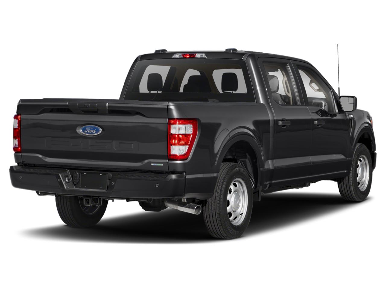 2021 Ford F-150 Vehicle Photo in SELMA, TX 78154-1459