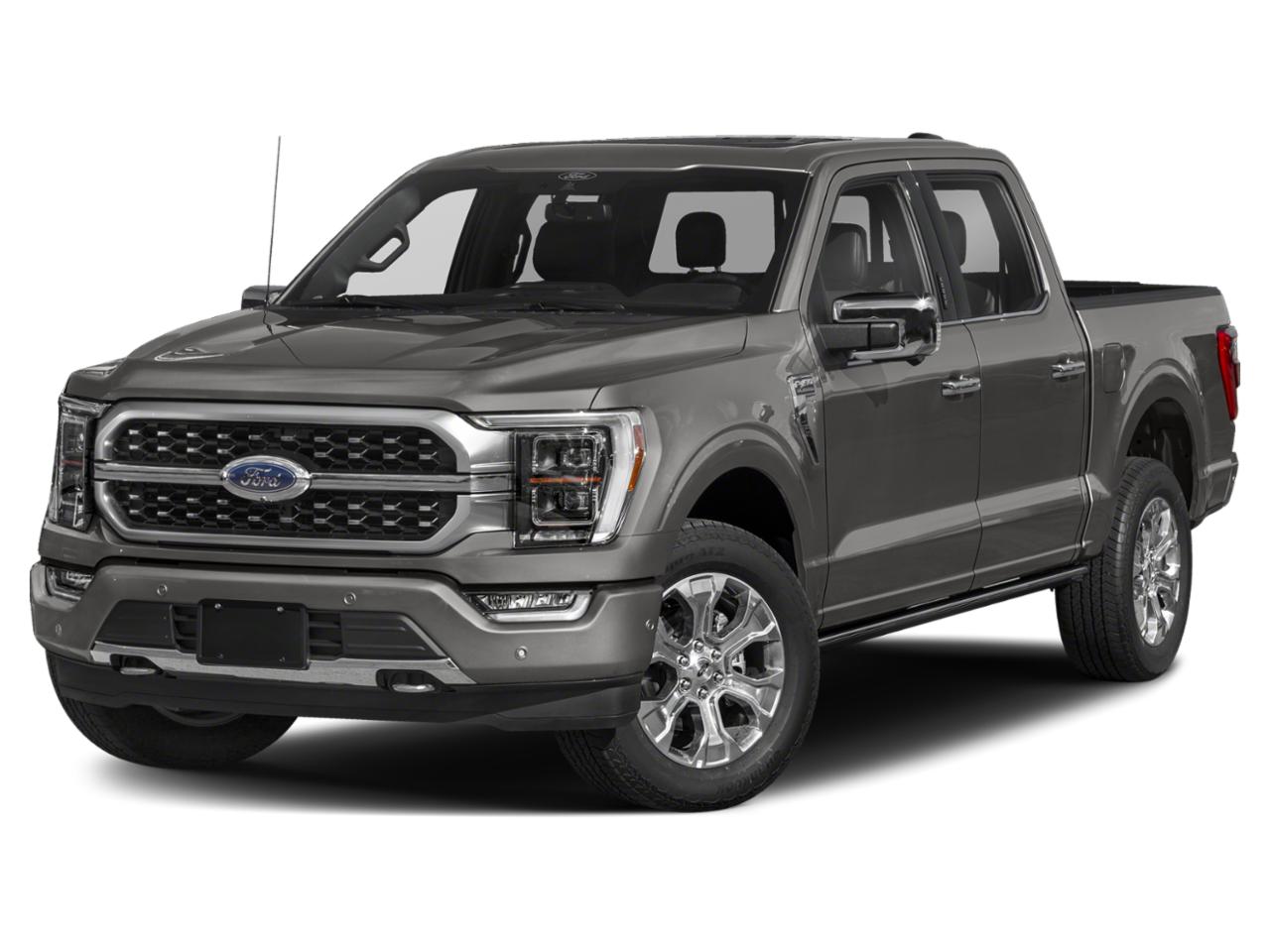 2021 Ford F-150 Vehicle Photo in Tampa, FL 33612