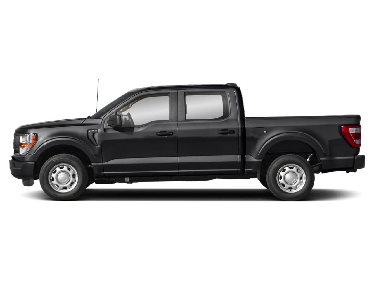 2021 Ford F-150 Vehicle Photo in SELMA, TX 78154-1459