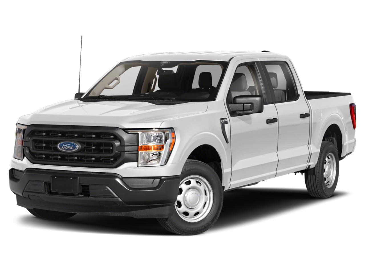2021 Ford F-150 Vehicle Photo in BEAUFORT, SC 29906-4218