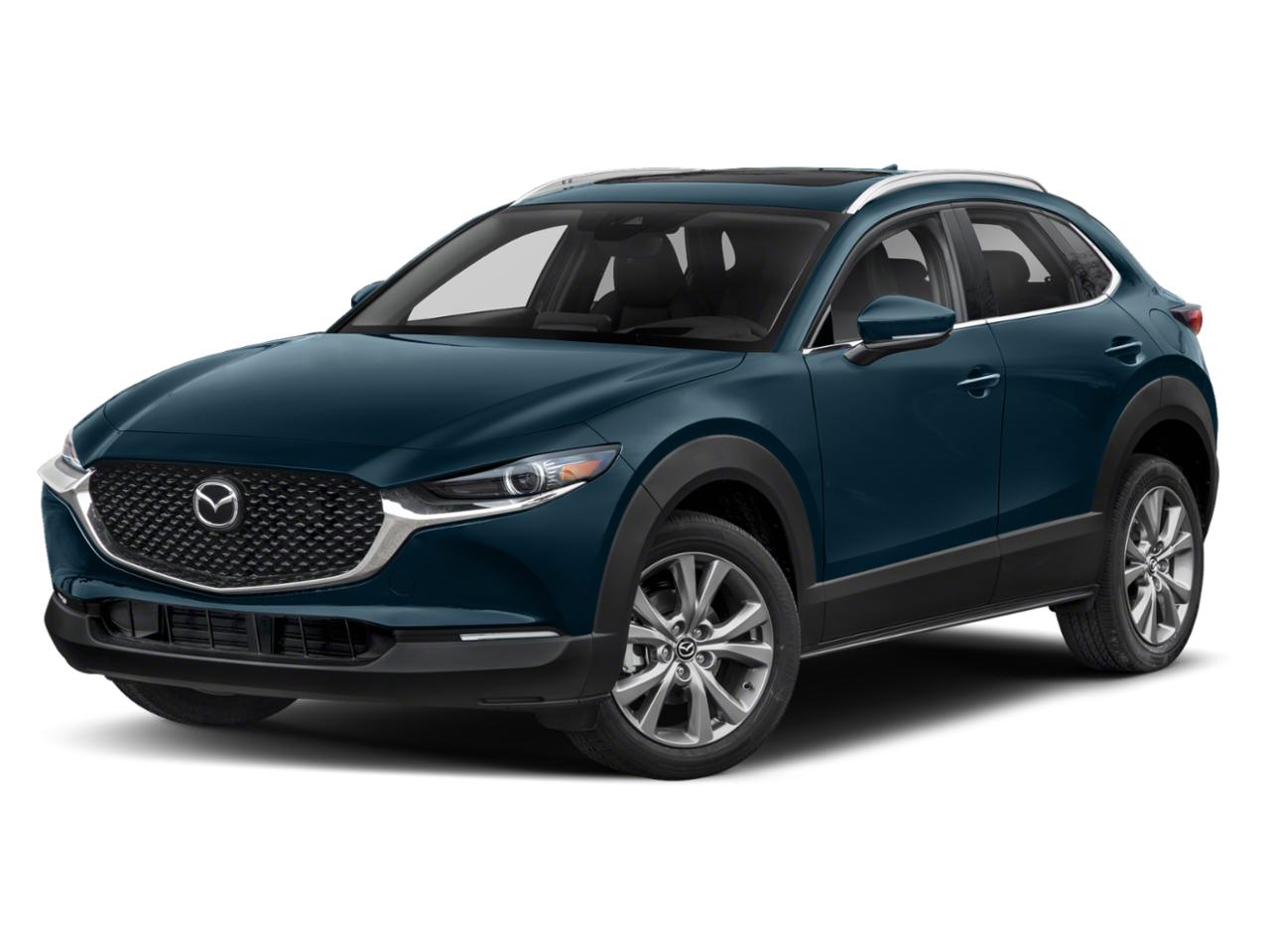 2021 Mazda CX-30 Vehicle Photo in COLMAR, PA 18915