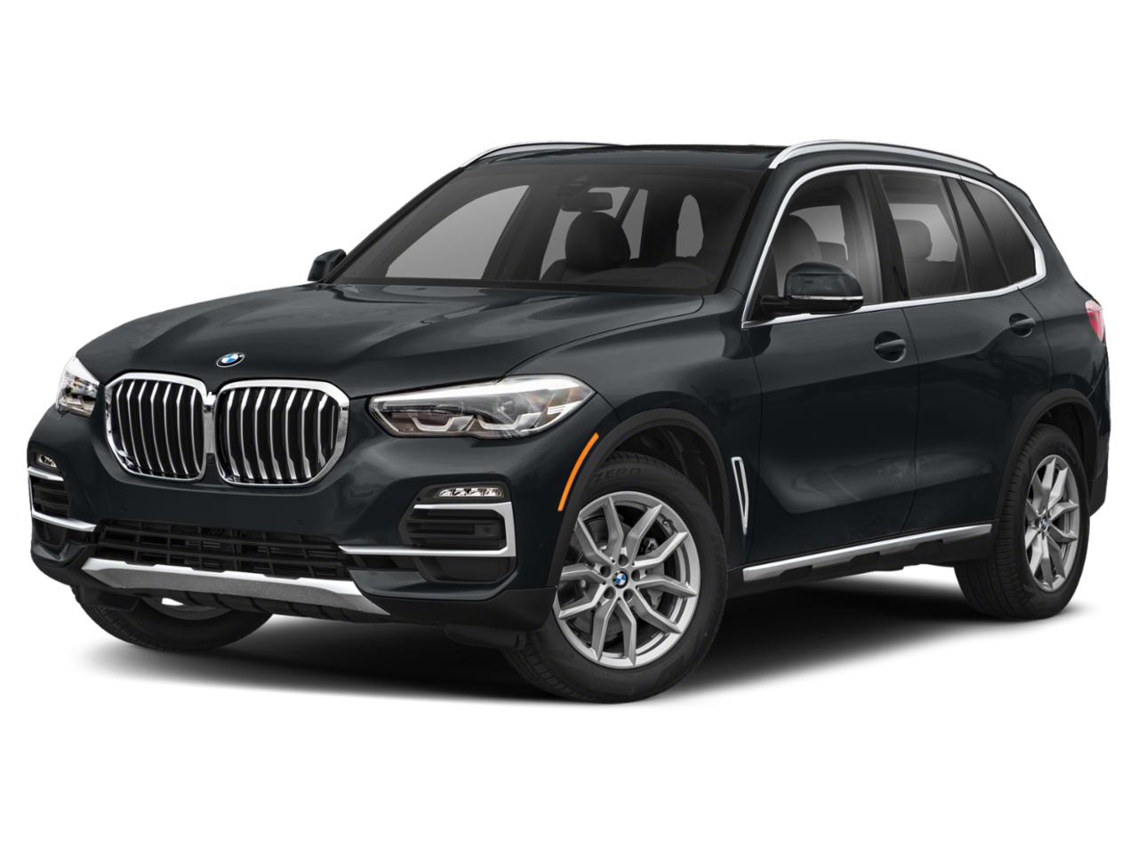2022 BMW X5 sDrive40i Vehicle Photo in Bluffton, SC 29910