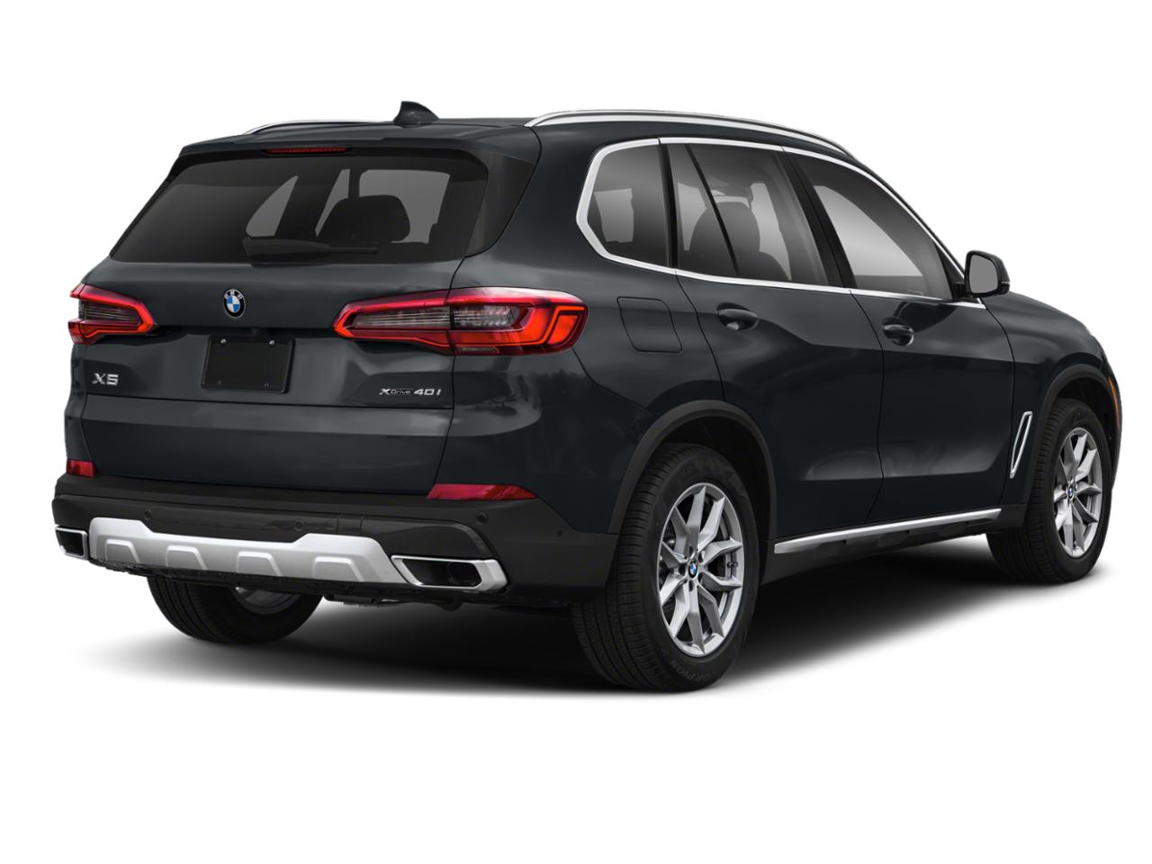 2022 BMW X5 sDrive40i Vehicle Photo in Bluffton, SC 29910