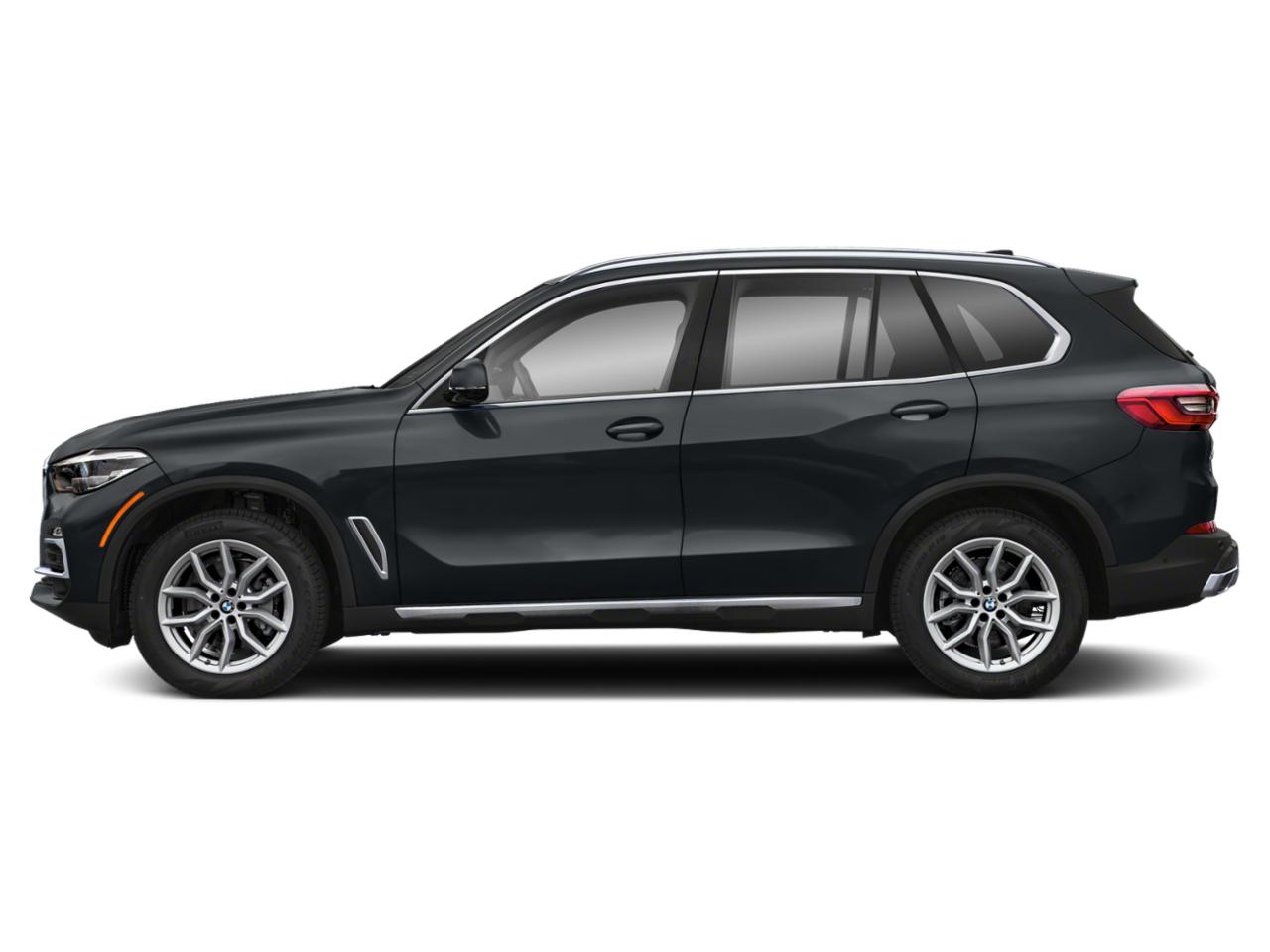 2022 BMW X5 sDrive40i Vehicle Photo in Bluffton, SC 29910