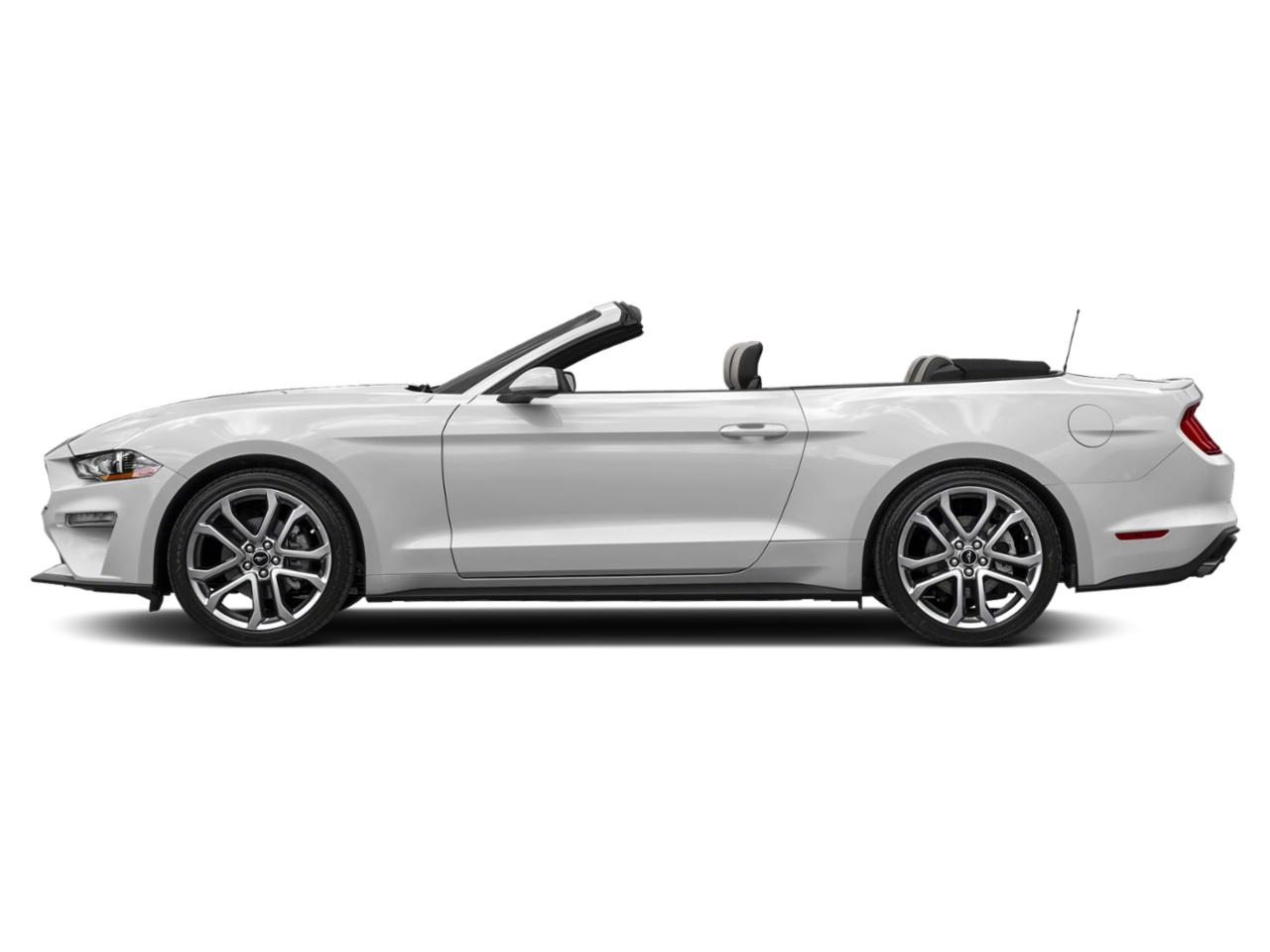 2022 Ford Mustang Vehicle Photo in BEAUFORT, SC 29906-4218