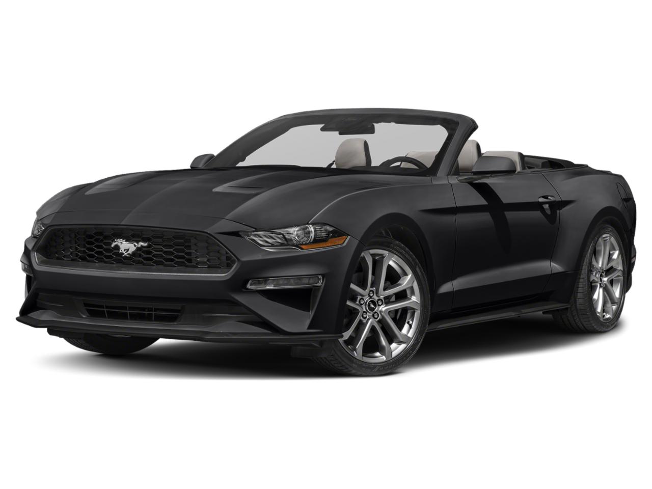 2022 Ford Mustang Vehicle Photo in Denton, TX 76205