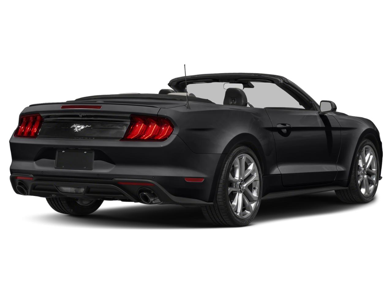 2022 Ford Mustang Vehicle Photo in Denton, TX 76205