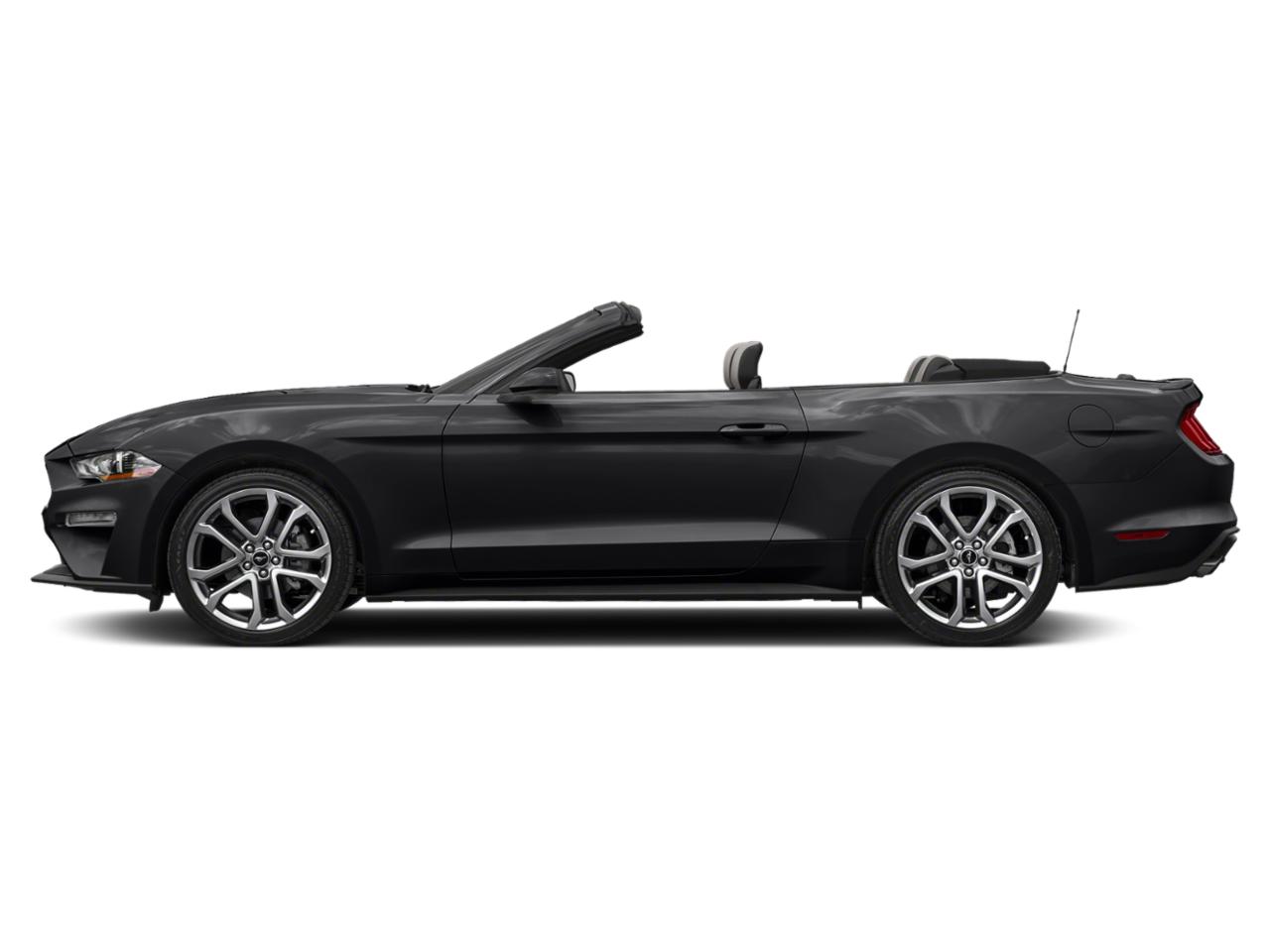 2022 Ford Mustang Vehicle Photo in Denton, TX 76205