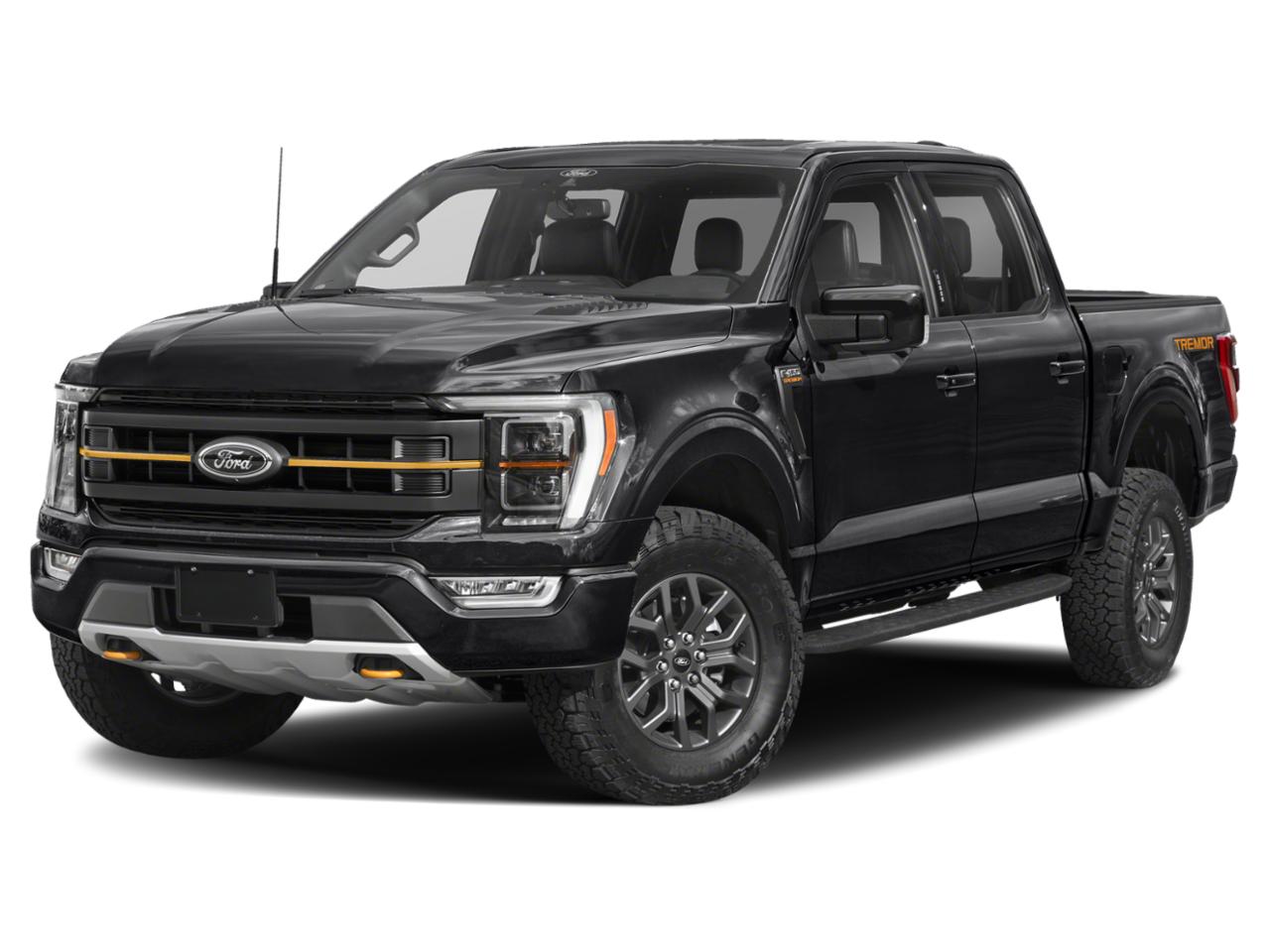 2022 Ford F-150 Vehicle Photo in Weatherford, TX 76087