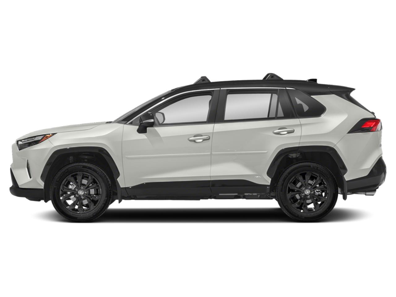 2022 Toyota RAV4 Vehicle Photo in Jonesboro, AR 72404