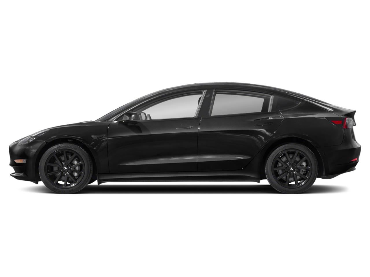 2022 Tesla Model 3 Vehicle Photo in San Antonio, TX 78209