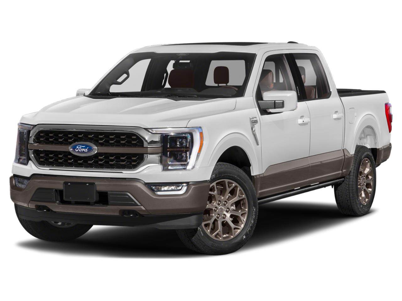 2023 Ford F-150 Vehicle Photo in San Antonio, TX 78230