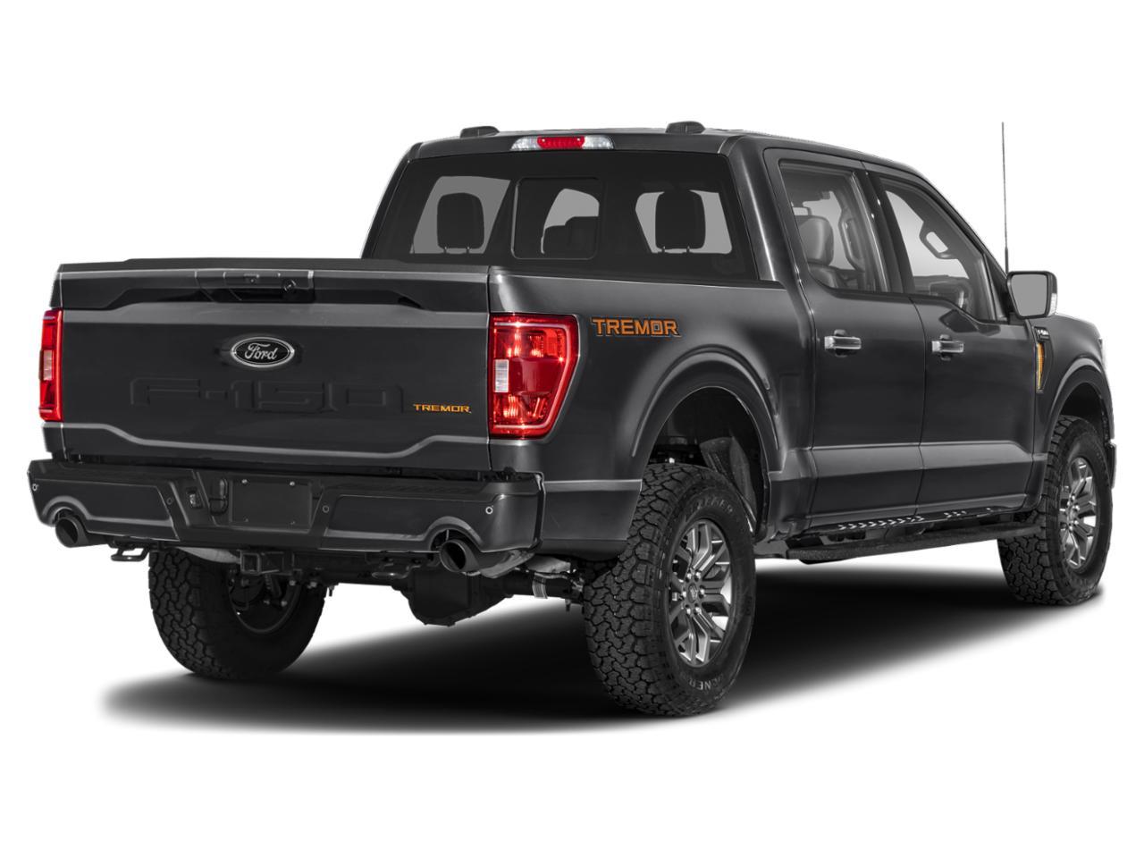 2023 Ford F-150 Vehicle Photo in POOLER, GA 31322-3252