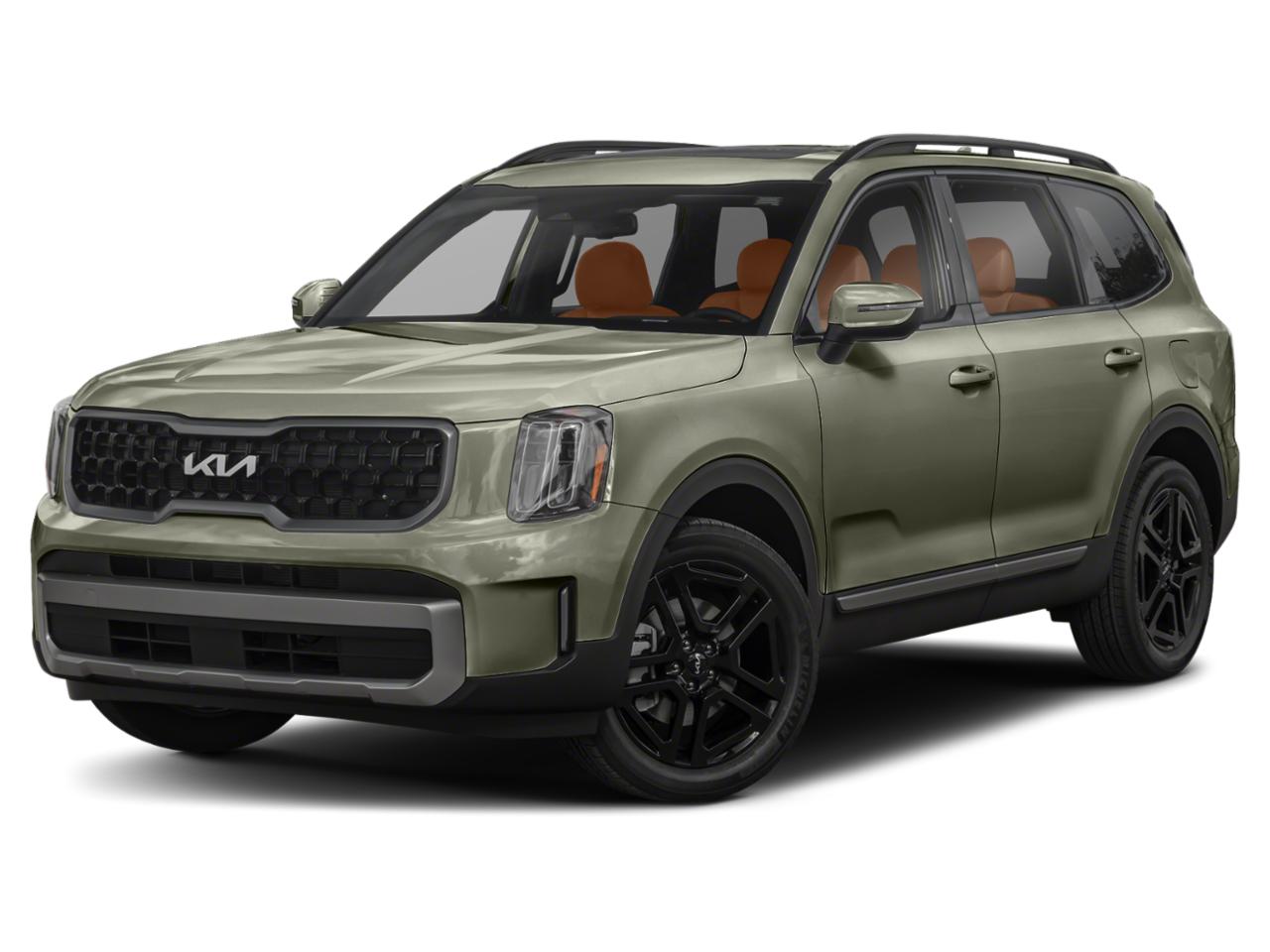 2023 Kia Telluride Vehicle Photo in Akron, OH 44312