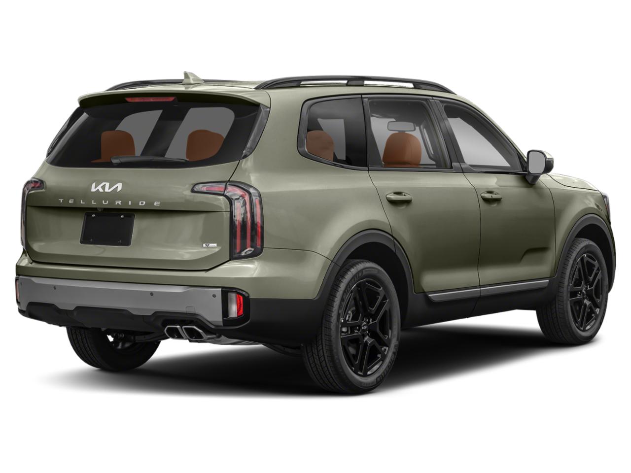2023 Kia Telluride Vehicle Photo in Akron, OH 44312