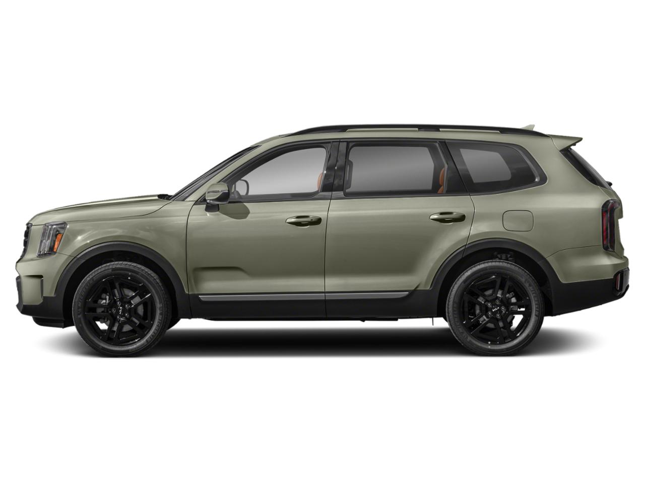 2023 Kia Telluride Vehicle Photo in Akron, OH 44312