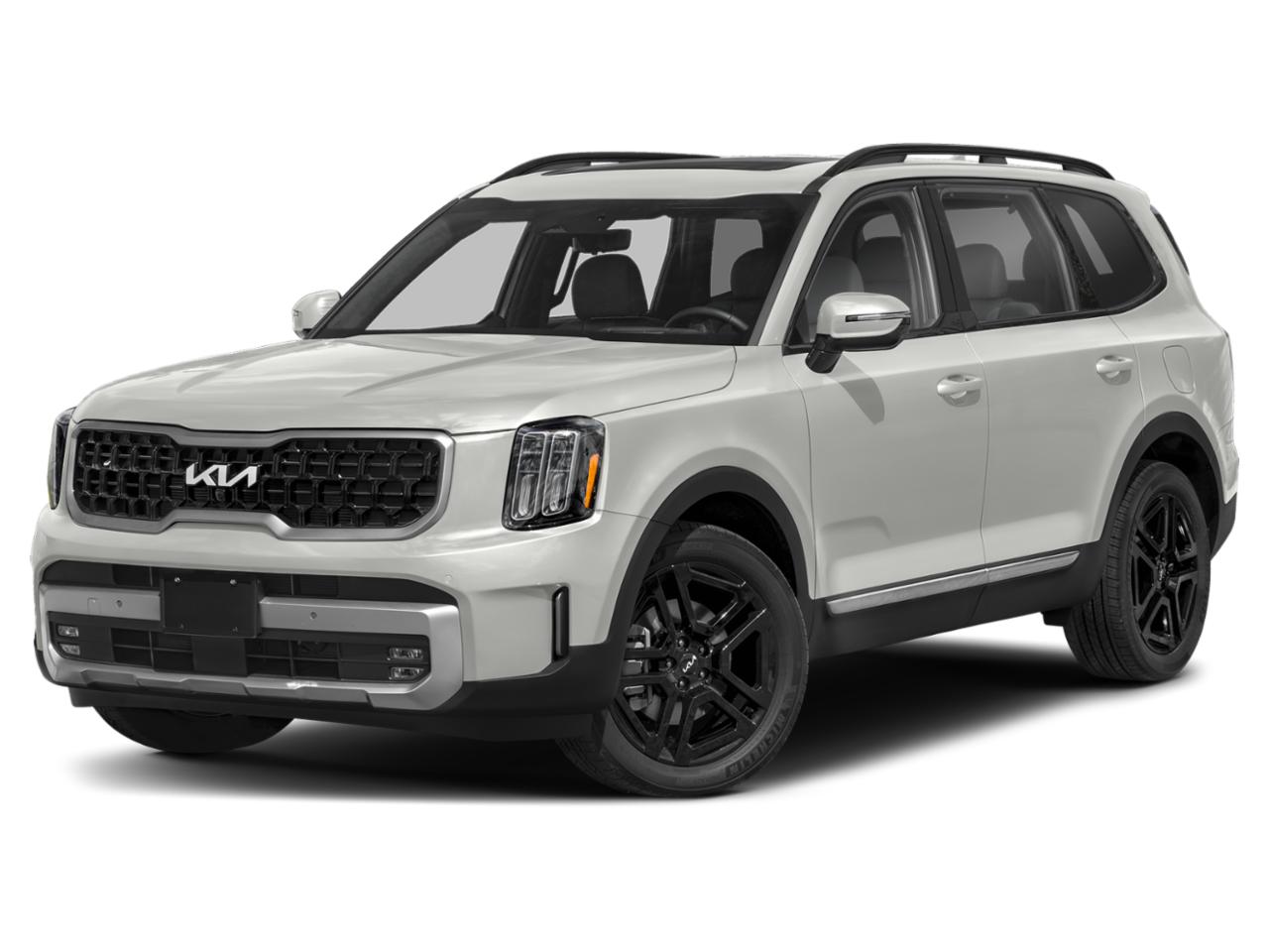 2023 Kia Telluride Vehicle Photo in KANSAS CITY, MO 64114-4502