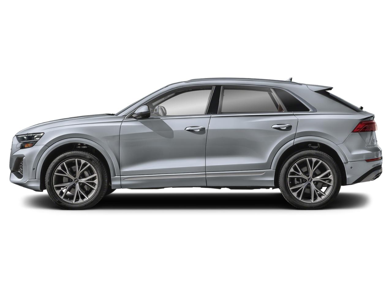 2024 Audi Q8 Vehicle Photo in Appleton, WI 54913