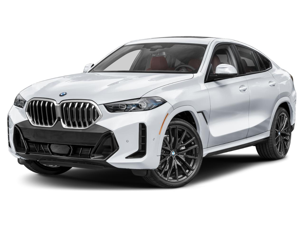 2024 BMW X6 xDrive40i Vehicle Photo in WILMINGTON, DE 19806-4020