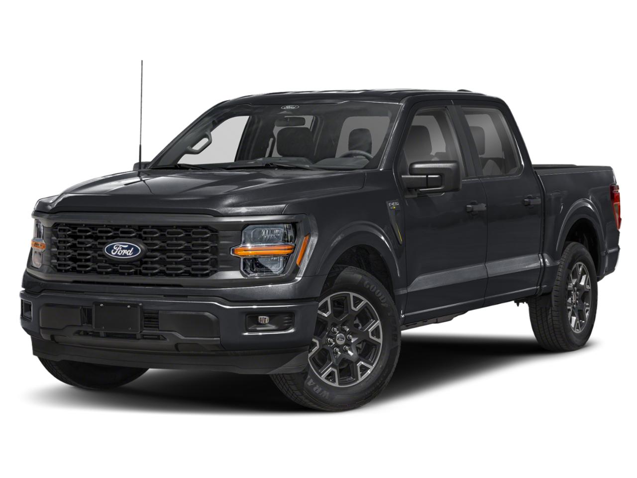 2024 Ford F-150 Vehicle Photo in SELMA, TX 78154-1459