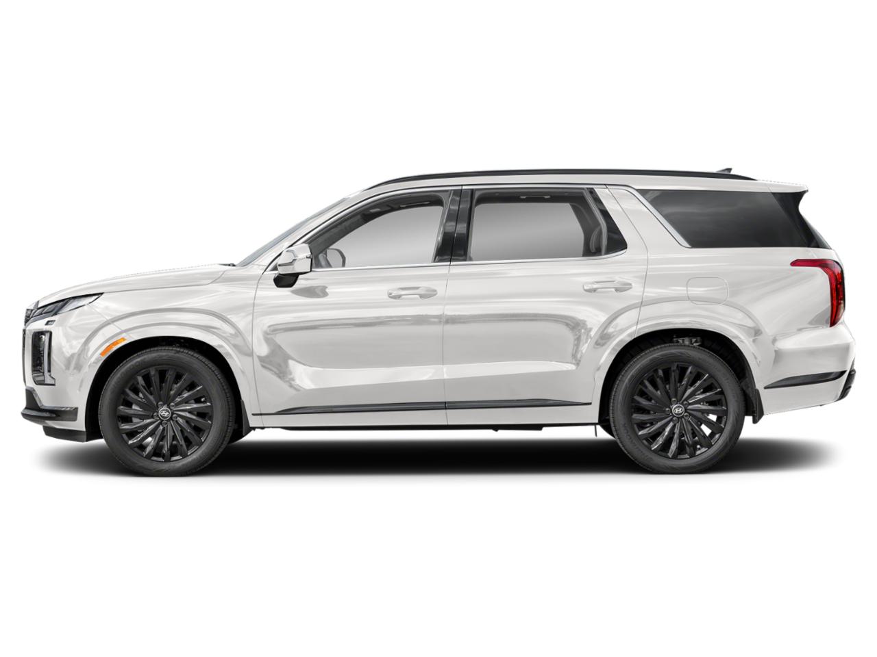 2024 Hyundai PALISADE Vehicle Photo in Bluffton, SC 29910
