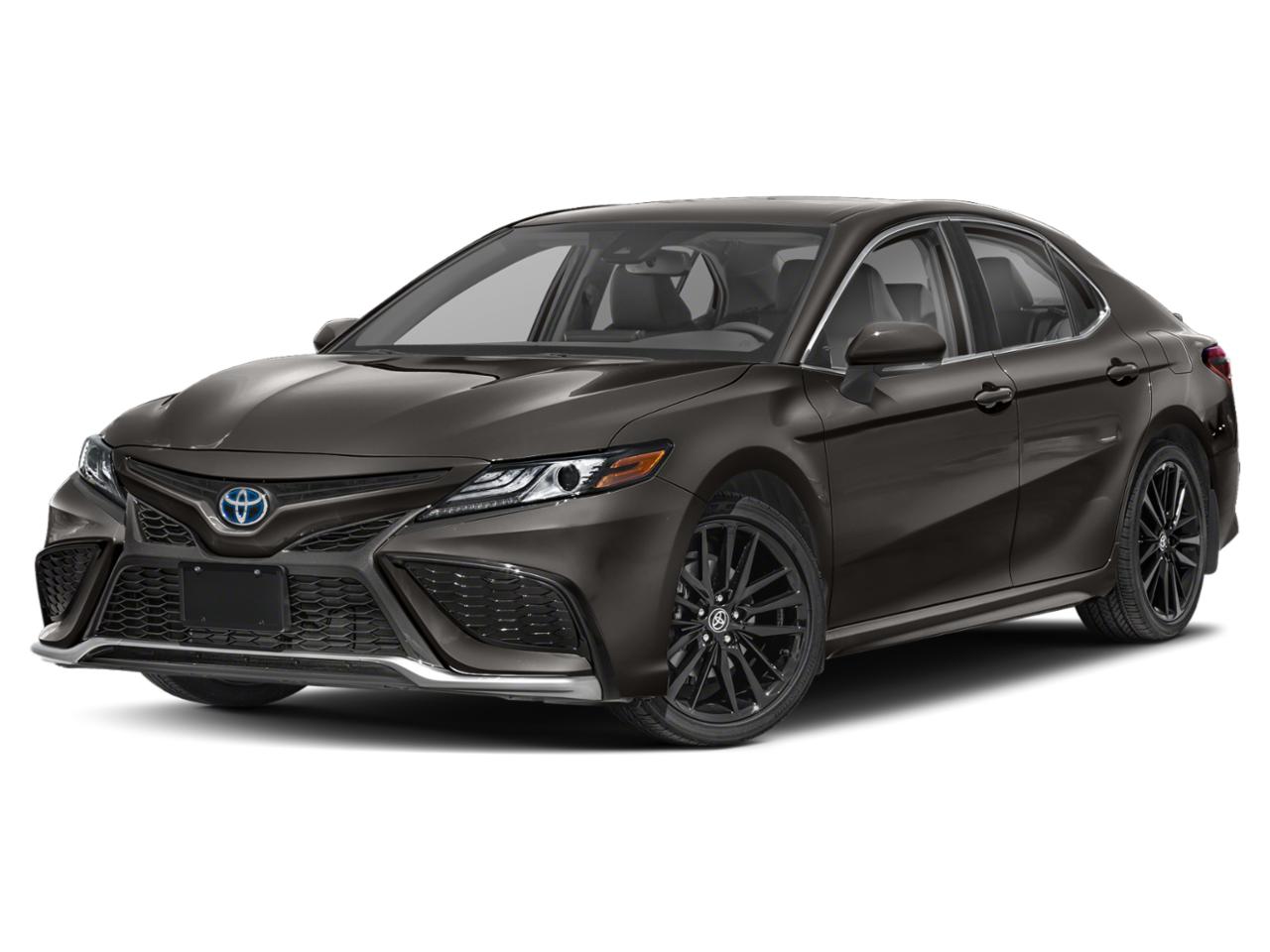 2024 Toyota Camry Vehicle Photo in Pinellas Park , FL 33781