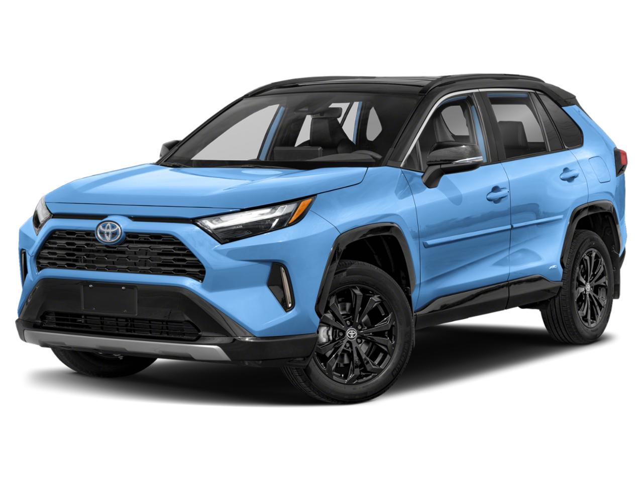 2024 Toyota RAV4 Vehicle Photo in Pinellas Park , FL 33781