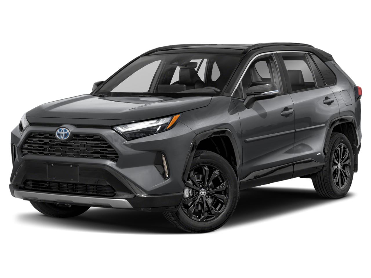 2024 Toyota RAV4 Vehicle Photo in Pinellas Park , FL 33781