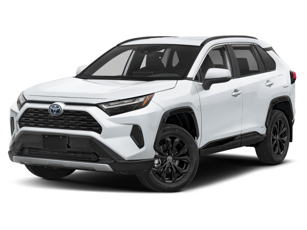 2024 Toyota RAV4 Vehicle Photo in Pinellas Park , FL 33781
