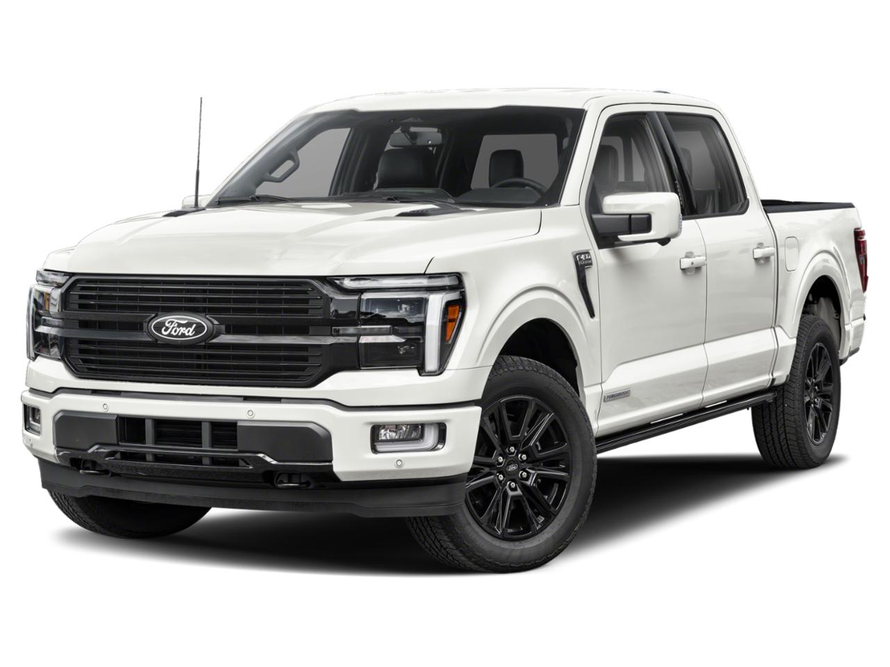 2025 Ford F-150 Vehicle Photo in Ogallala, NE 69153