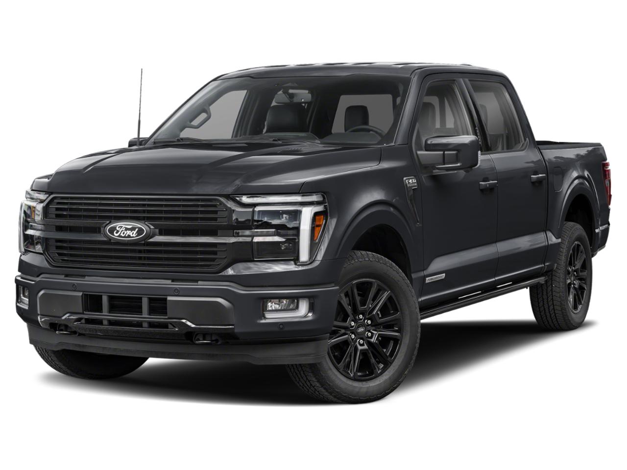 2025 Ford F-150 Vehicle Photo in Weatherford, TX 76087