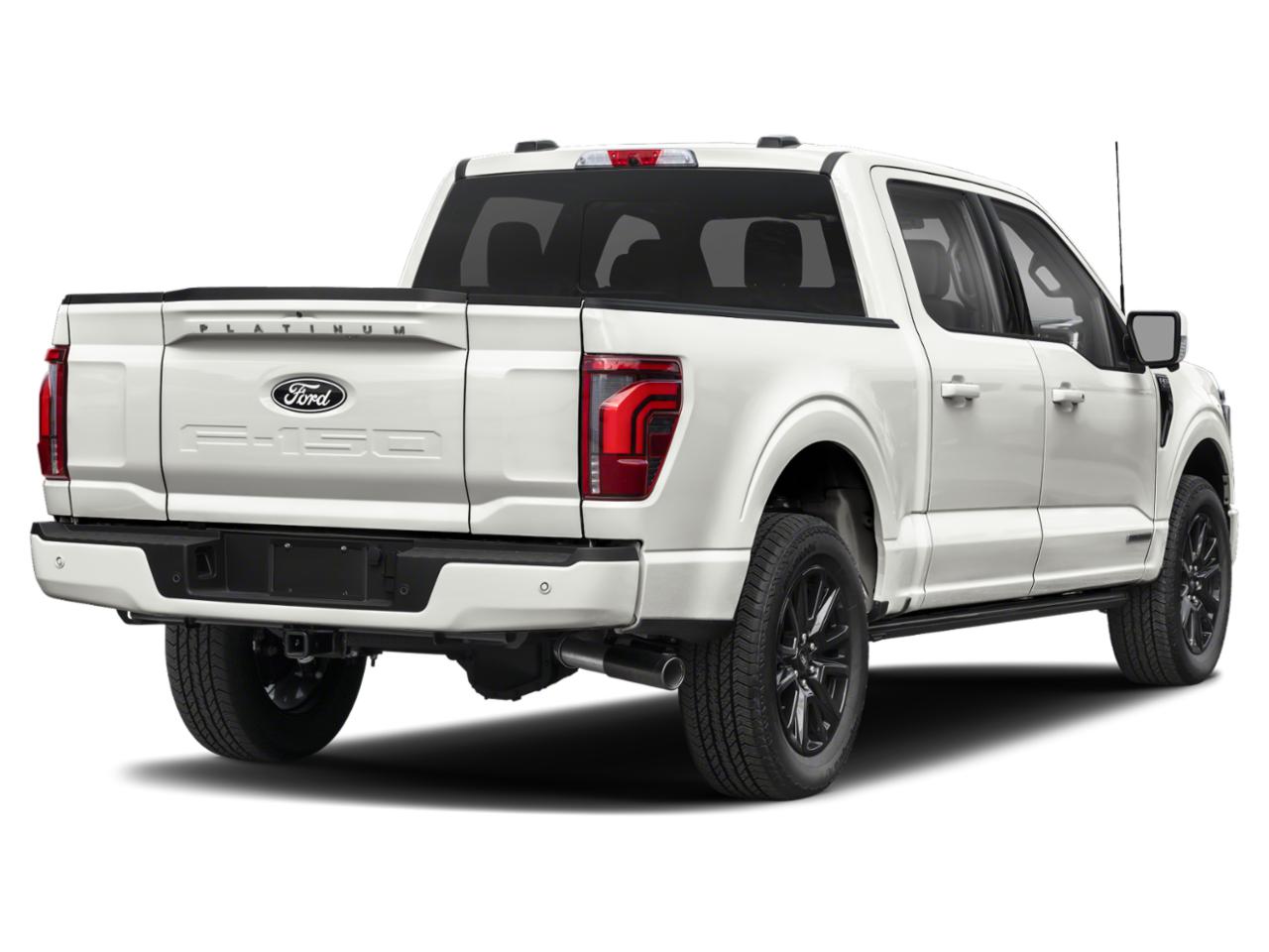 2025 Ford F-150 Vehicle Photo in Ogallala, NE 69153