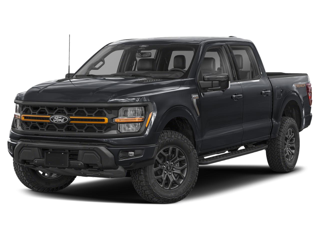 2025 Ford F-150 Vehicle Photo in Weatherford, TX 76087