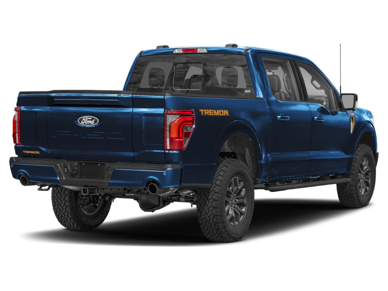 2025 Ford F-150 Vehicle Photo in Weatherford, TX 76087