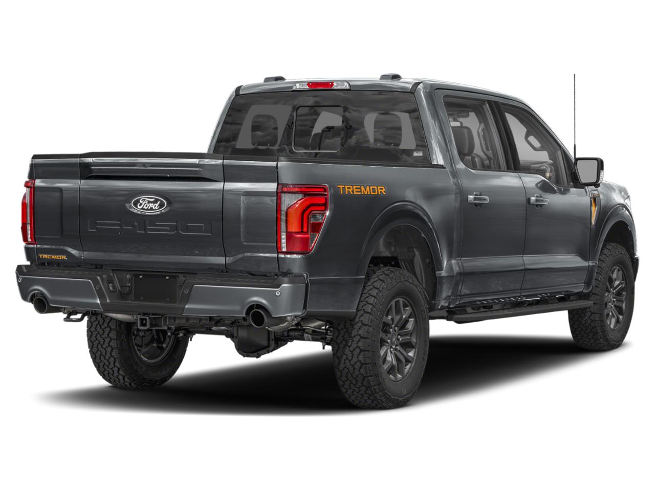 2025 Ford F-150 Vehicle Photo in Weatherford, TX 76087