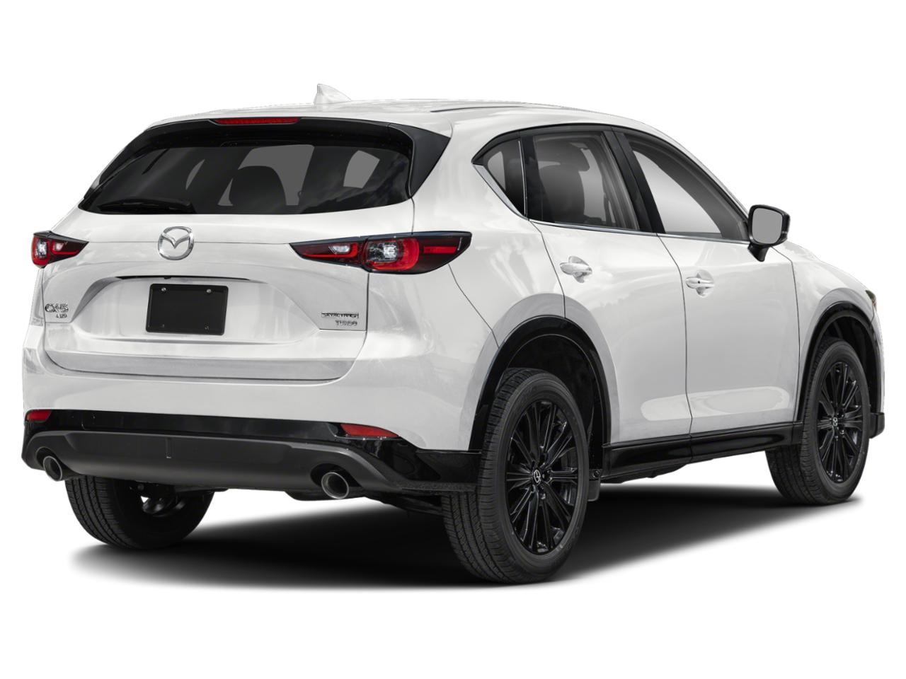 2025 Mazda CX-5 Vehicle Photo in Appleton, WI 54913