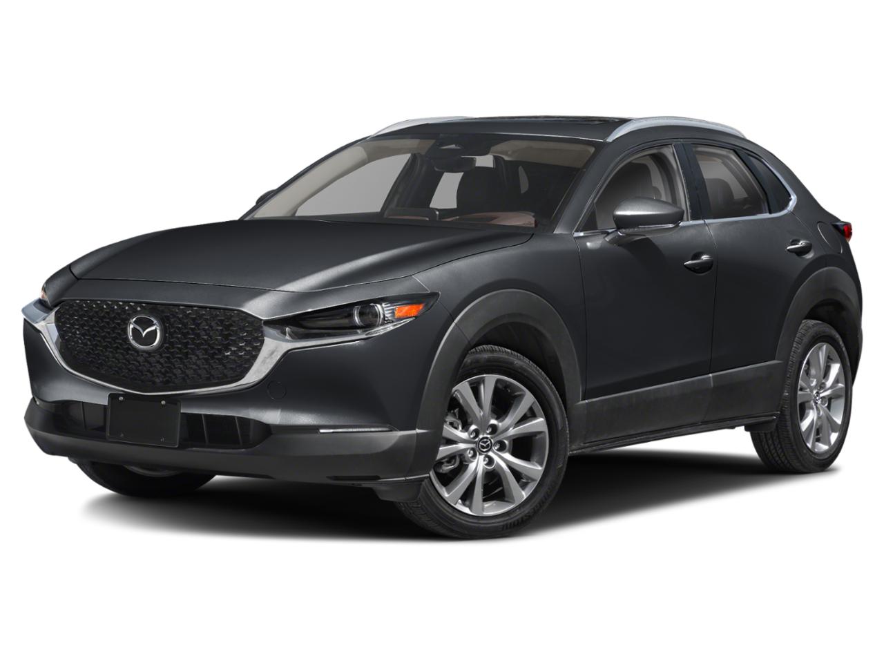 2025 Mazda CX-30 Vehicle Photo in Appleton, WI 54913