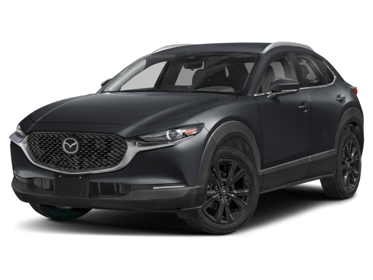 2025 Mazda CX-30 Vehicle Photo in Appleton, WI 54913