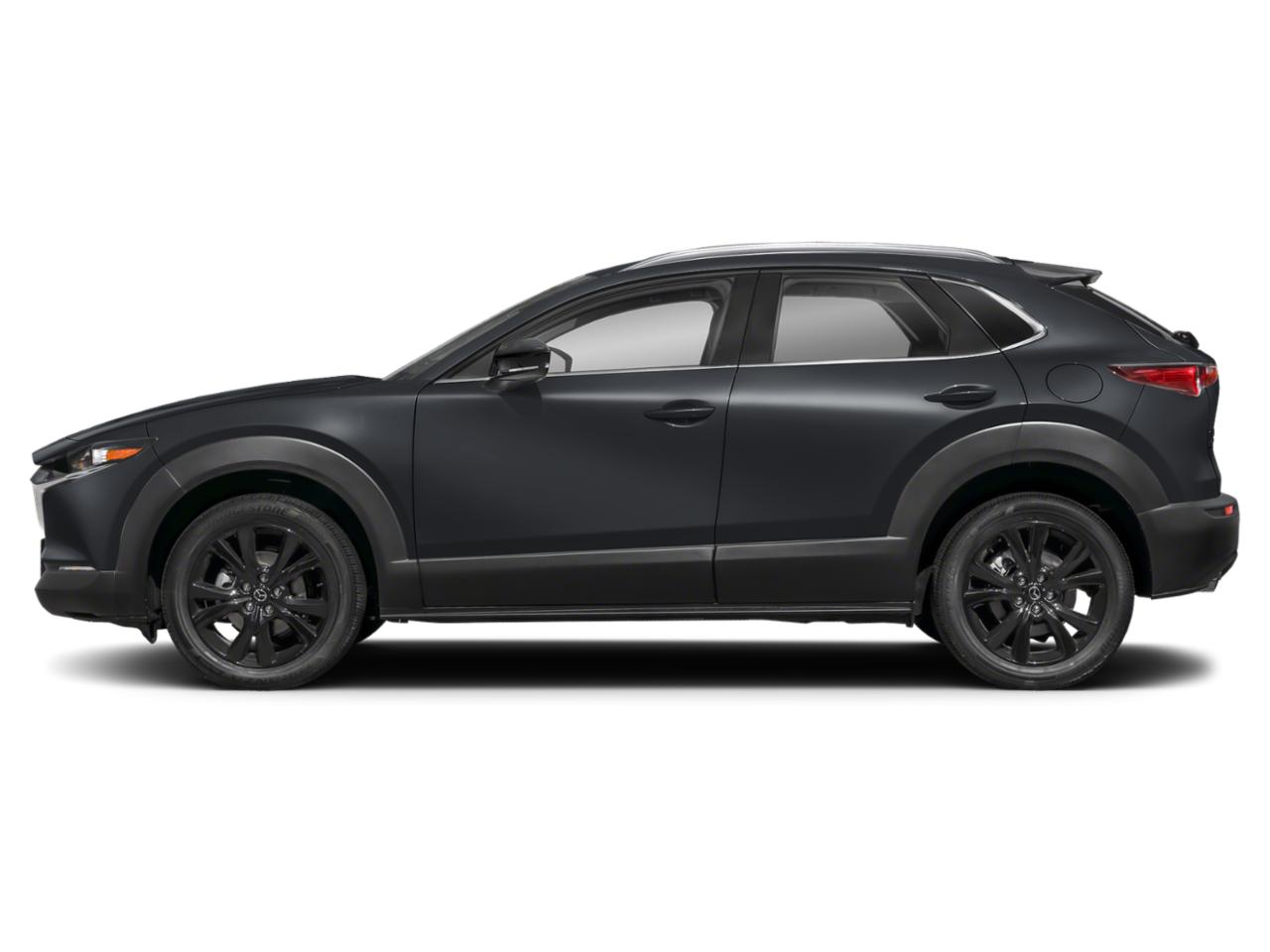 2025 Mazda CX-30 Vehicle Photo in Appleton, WI 54913