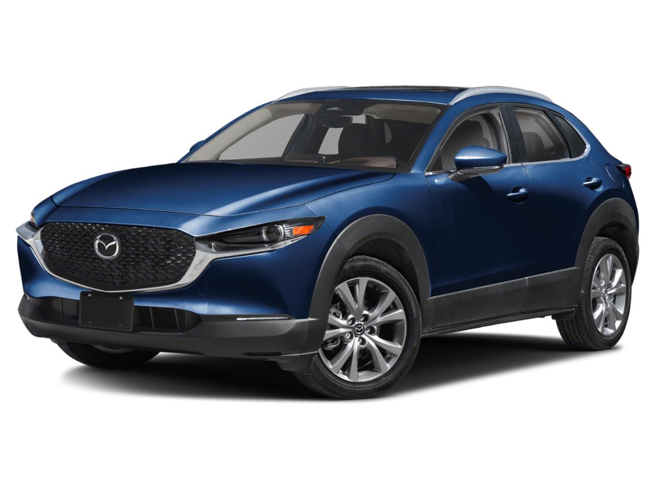 2025 Mazda CX-30 Vehicle Photo in Appleton, WI 54913